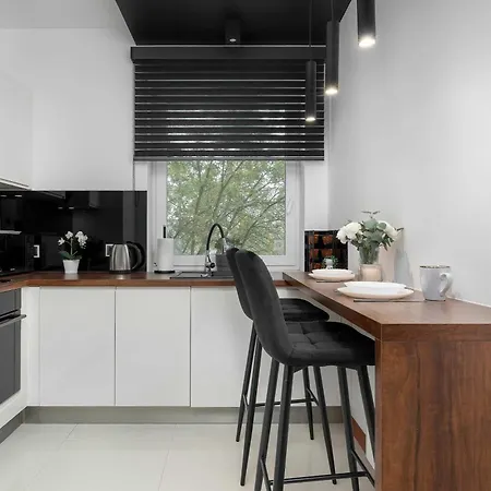Modern With Desk And Balcony By Renters * Krakau